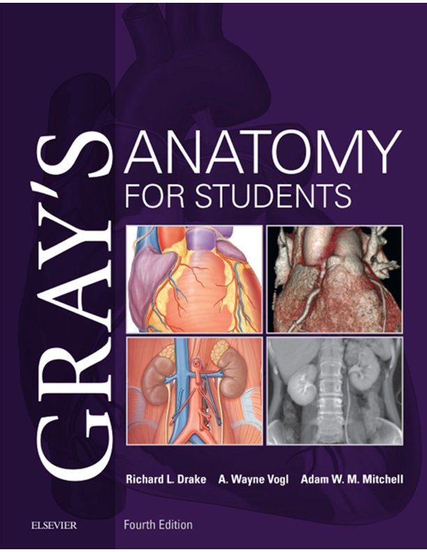Gray's