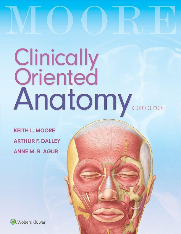 Anatomy